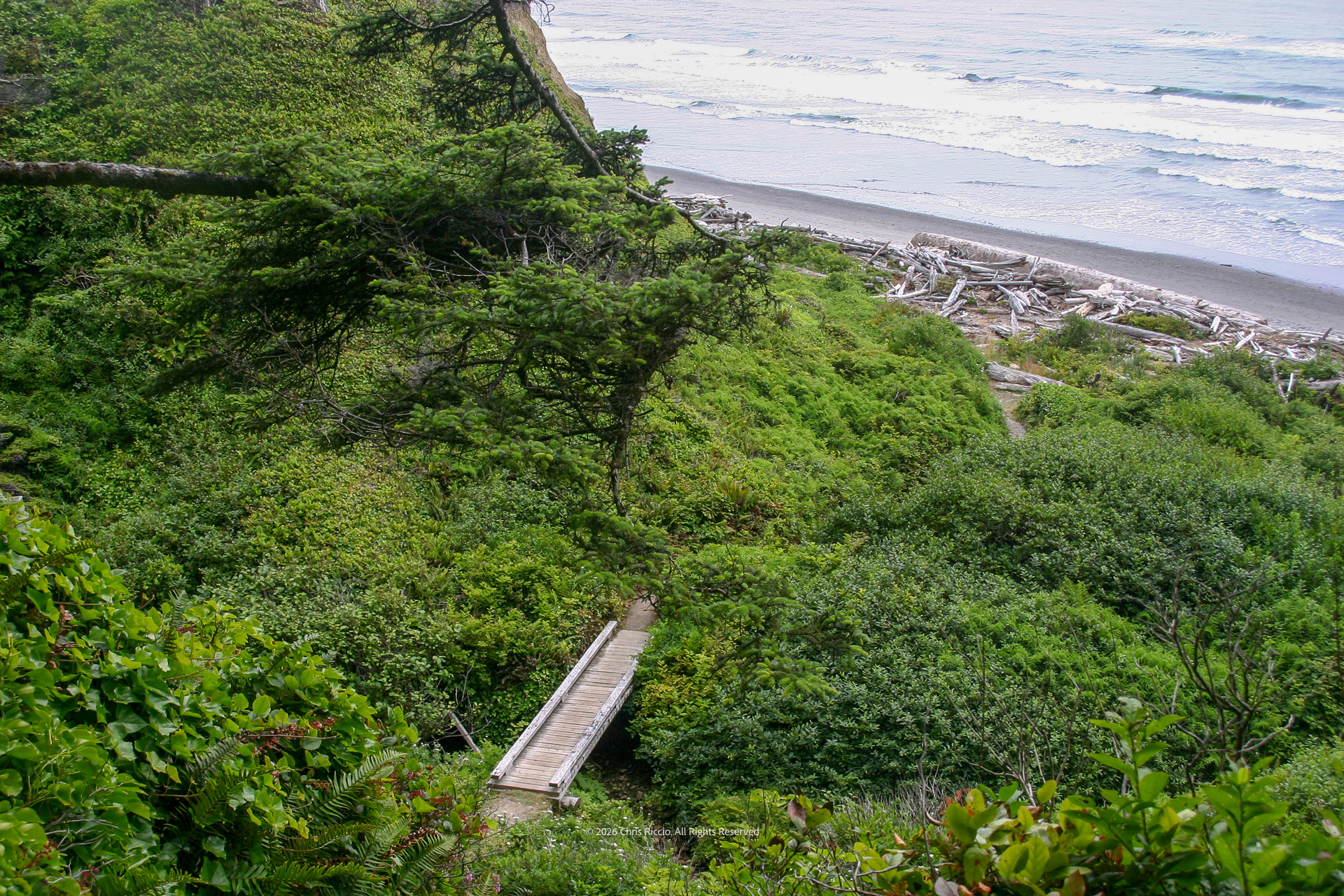 Path to the coast
